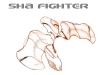 SHA Fighter 1